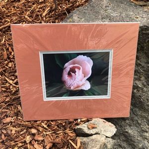 Photographic Art Peony